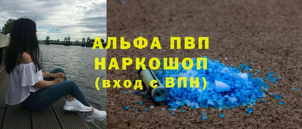 прущие крисы Новозыбков