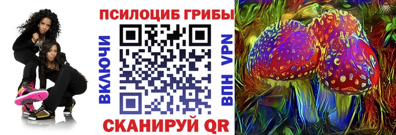 Галлюциногенные грибы мицелий  omg сайт  сайты даркнета клад  Тында 