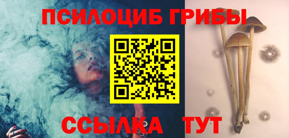 Галлюциногенные грибы Magic Shrooms Тында